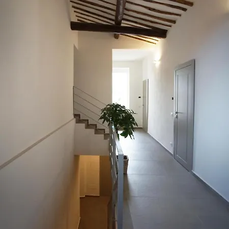 New Moon Guest house *